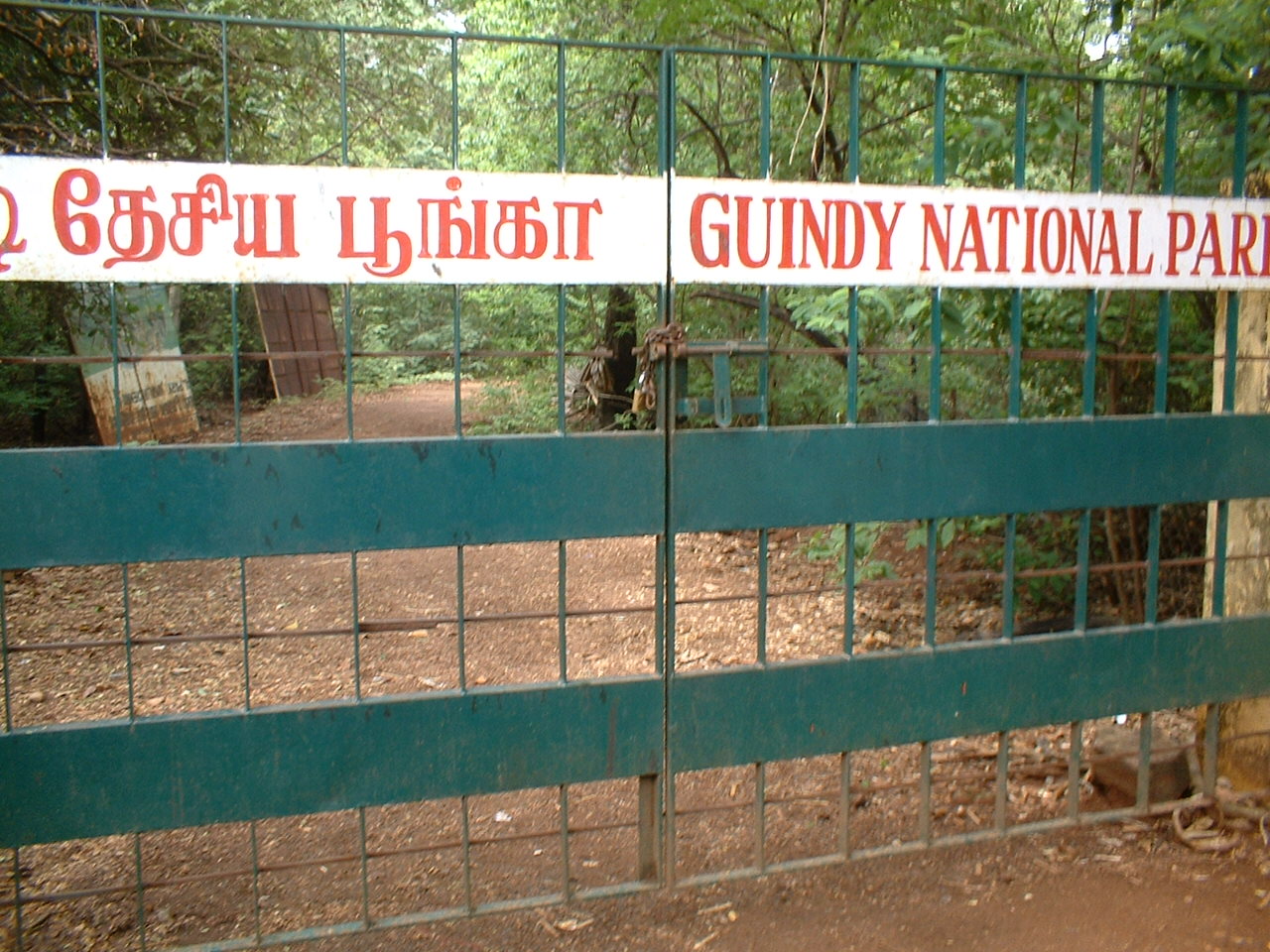 These photos were taken in the Guindy National Park in Chennai.