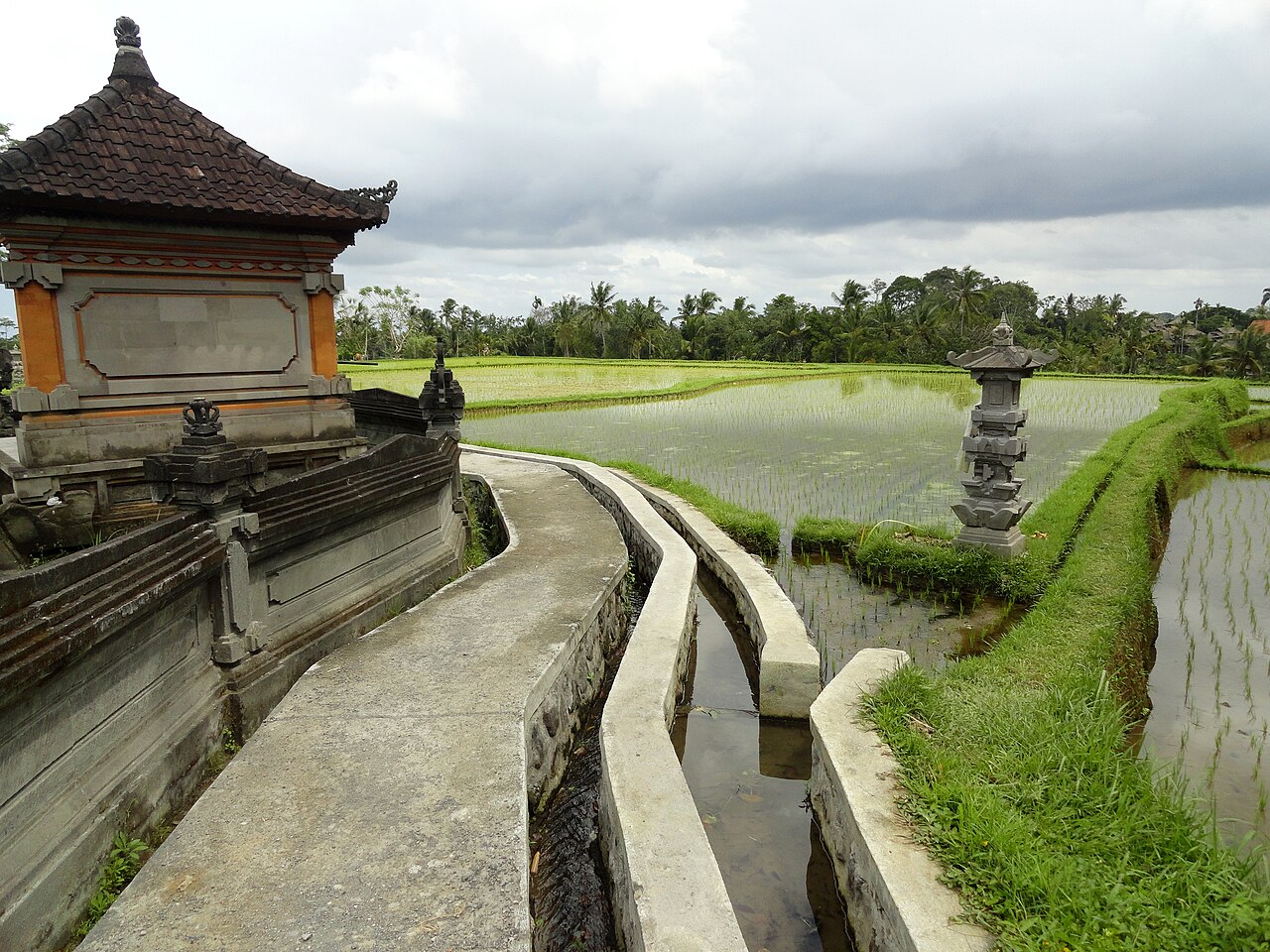 Campuhan Ridge Walk, Ubud, Bali, Indonesia