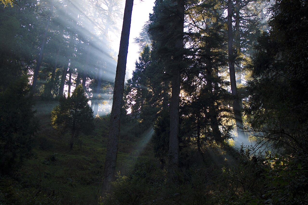 Lal Tibba
