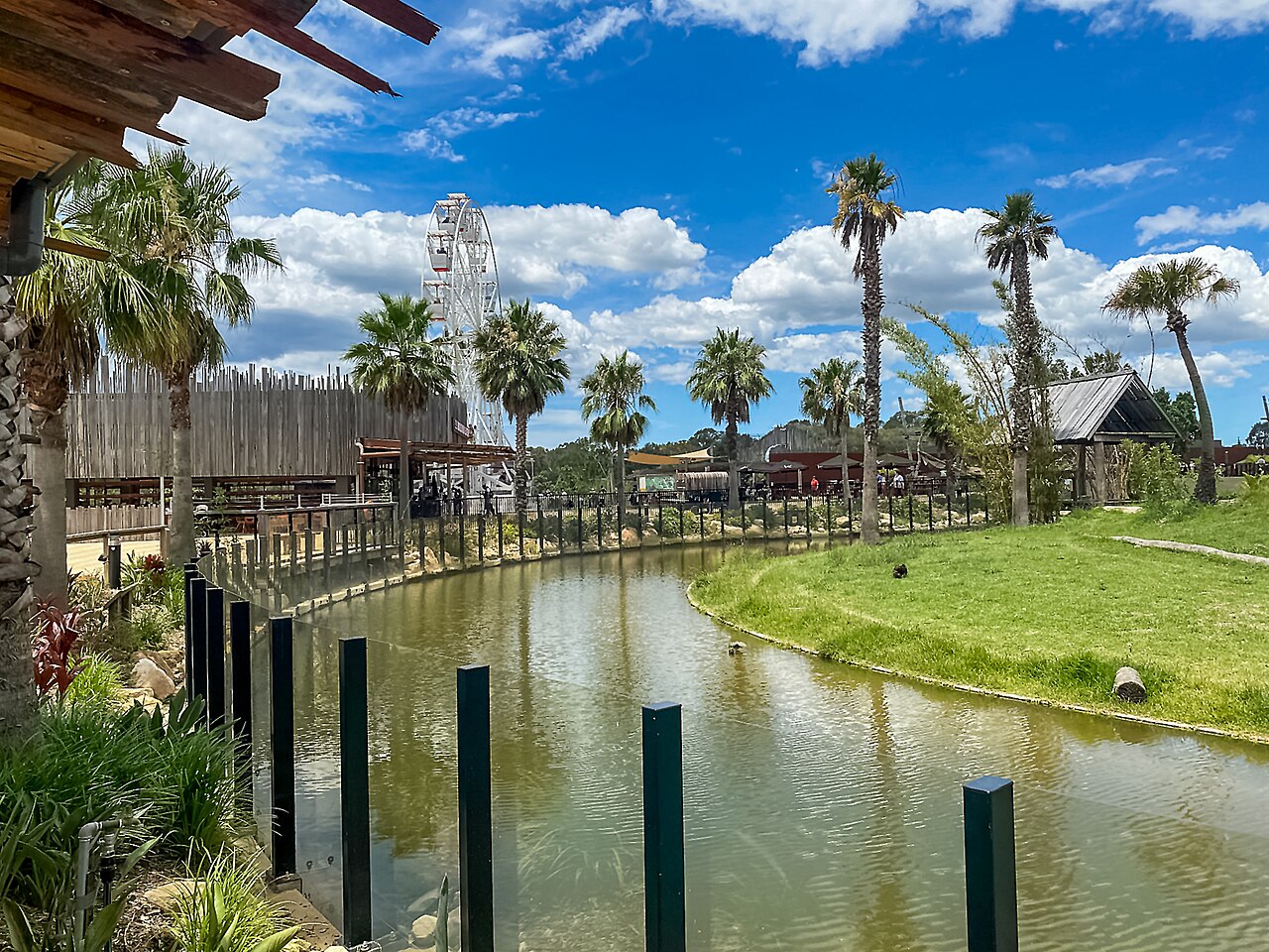 Internal view of Sydney Zoo, 2020