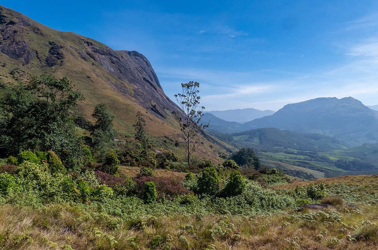 View of Eravikulam National Park. Taken from Eravikulam National Park Road.