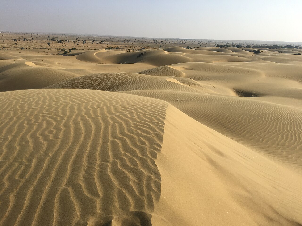Sam or Sam sand dunes is by far Rajasthan number 1 desert dune region, which is visited by more than a million travellers every year. The total area of these du