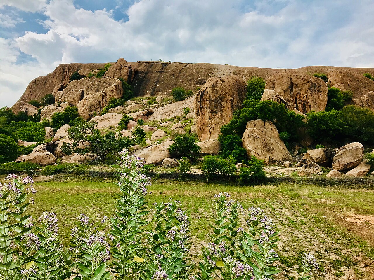 The rocky hillocks around Madurai have many ancient to pre-14th century Jain and Hindu caves and temples, as well as some post-14th century Islamic monuments (1