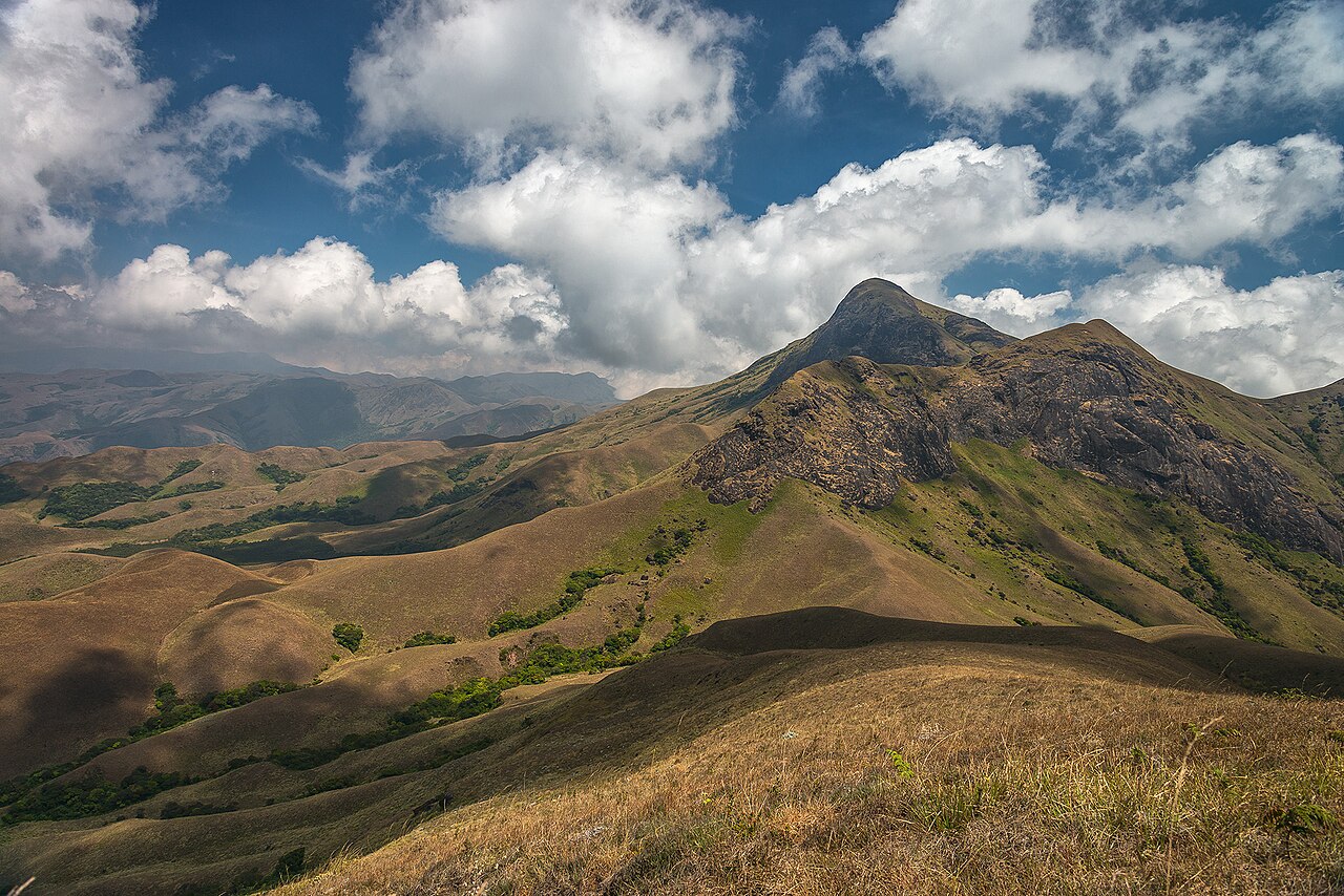 A view of the Anaimudi peak from the Naikolli Mala ridge. Looking NNE.