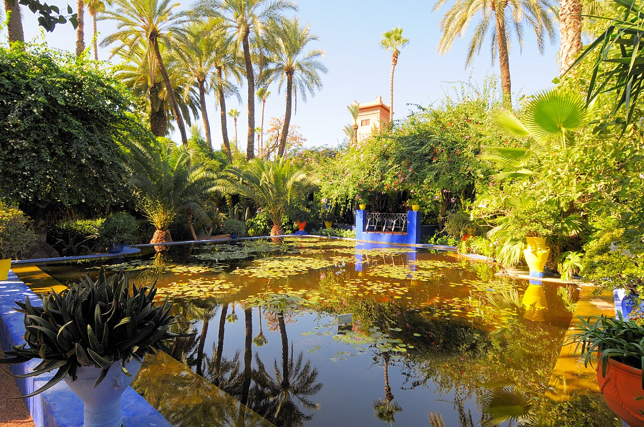 Le_jardin_des_majorelle_40.JPG Marrakch maroc