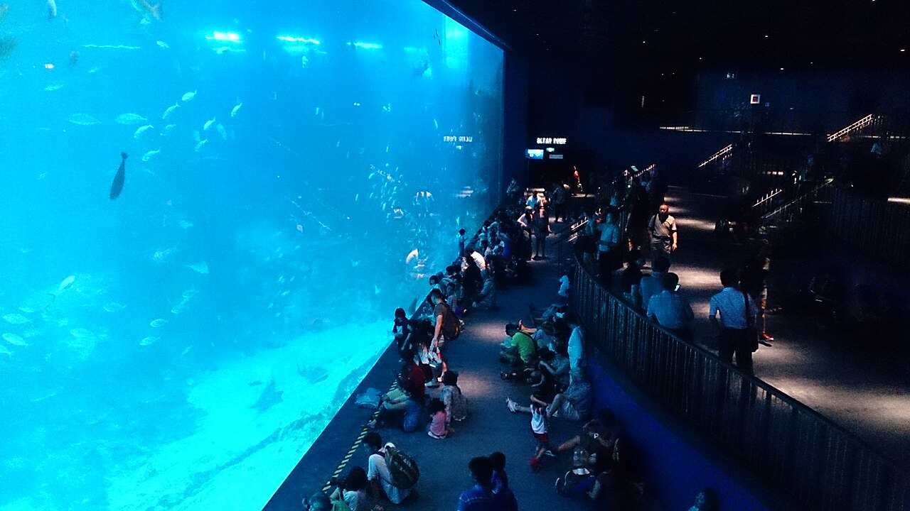 SEA aquarium at RWS Singapore