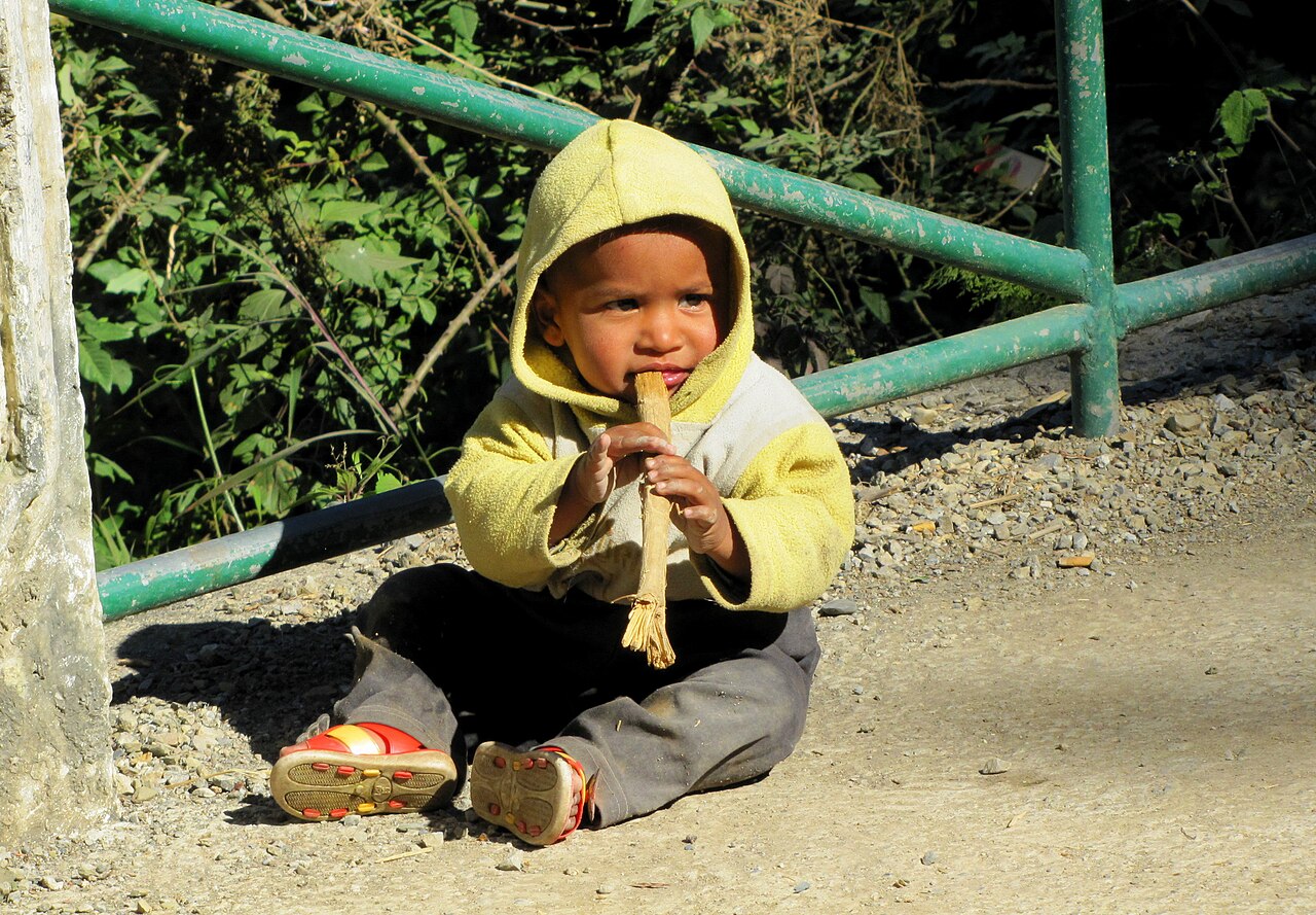 Chewing on Camels Back Road, Mussoorie