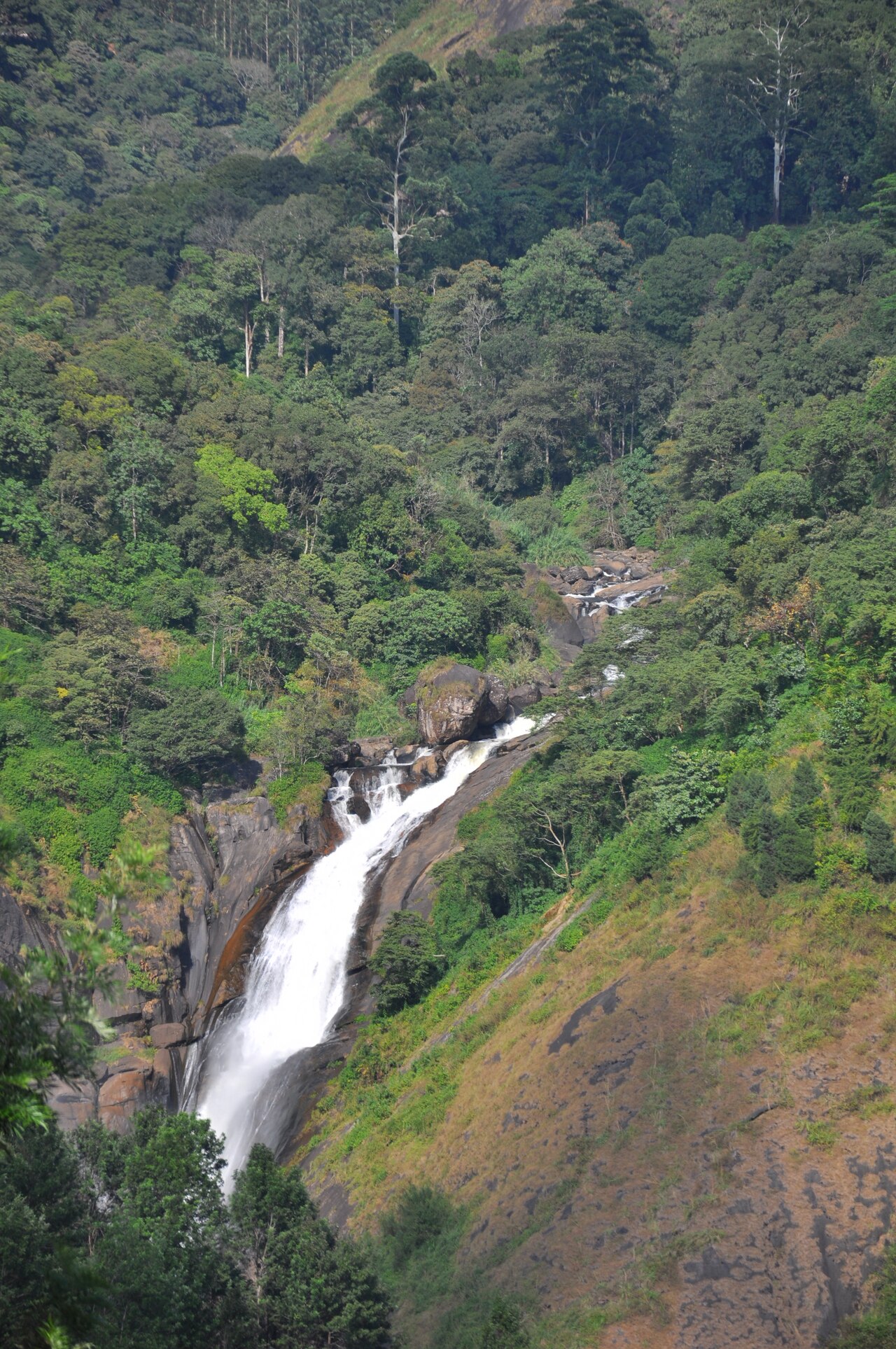 Attukad Waterfalls,Munnar,Kerala,India