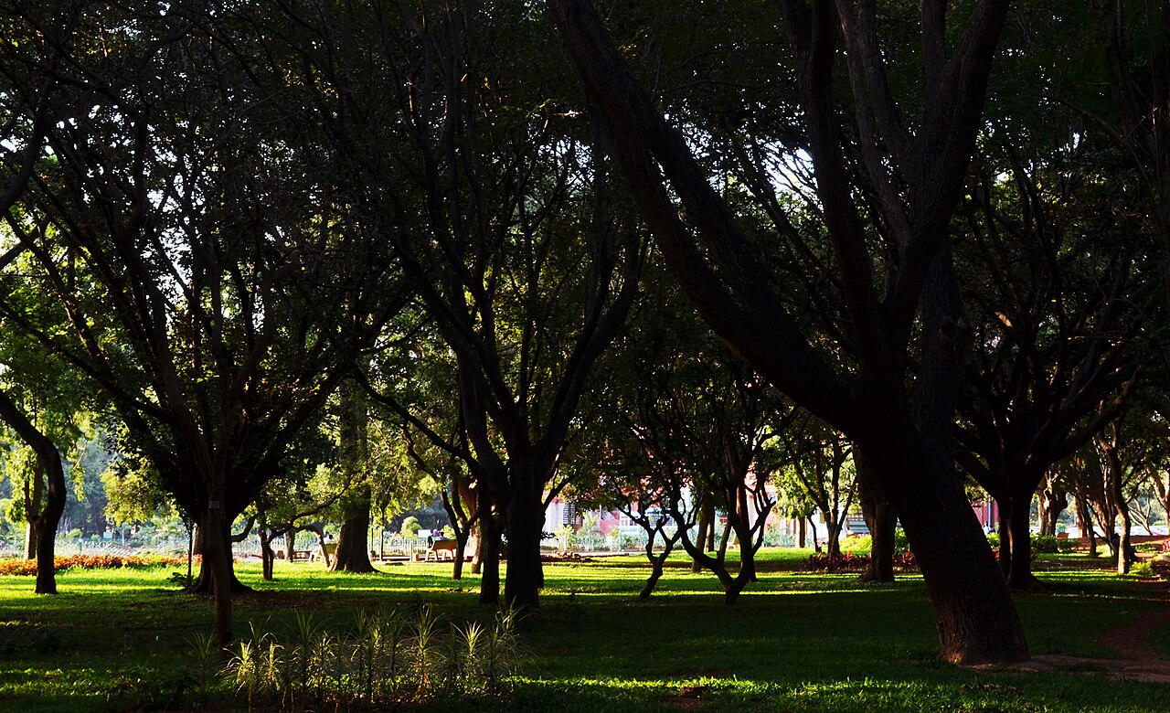A beautiful view of Cubbon Park, Bangalore