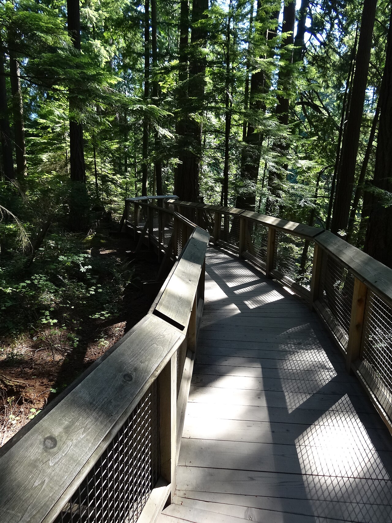 A wooden walkway in the Capilano Suspension Bridge Park, North Vancouver, BC